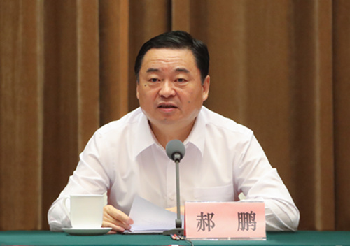 郝鵬、國資、央企、國資委、書記、主任、國企、企業改革